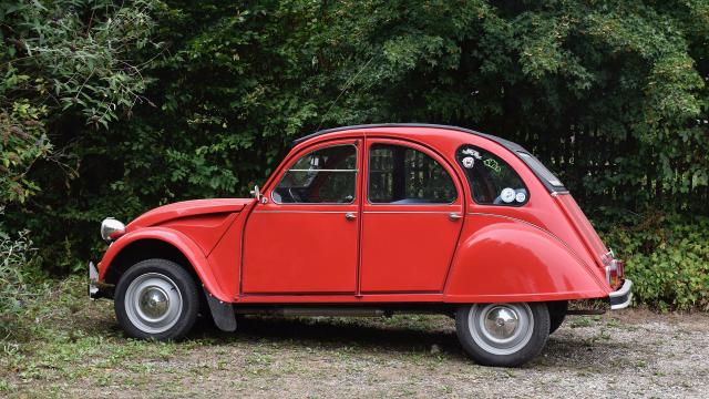 Challenge 2CV dans le Marais Poitevin