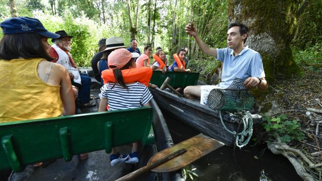 Découverte du Marais Poitevin en barque