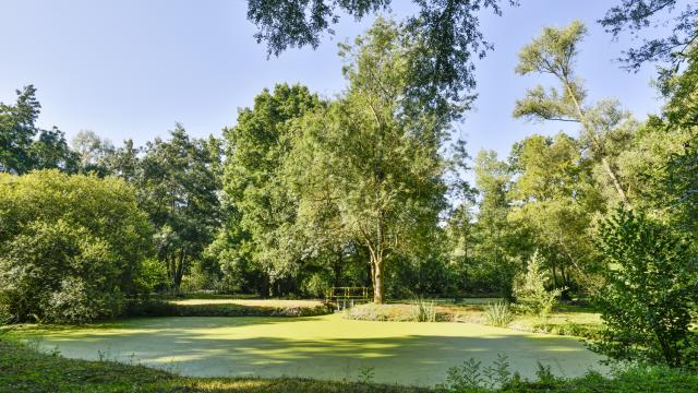 Le Marais sauvage de Saint-Hilaire-la-Palud