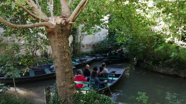 barque-et-arbre.jpg